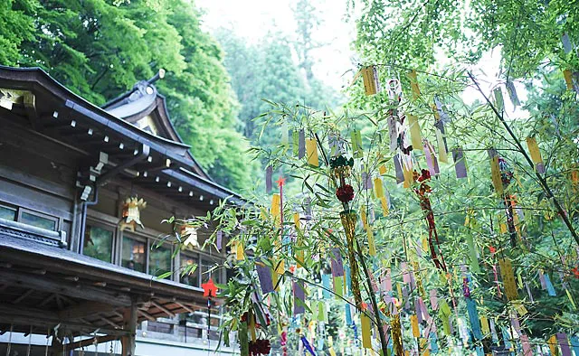 貴船神社：夏ならではのみずみずしい青紅葉と、色とりどりに飾られた短冊の共演が楽しめます。日中や夜のライトアップはもちろん、黄昏時に赤く染まる光景はまた格別です
