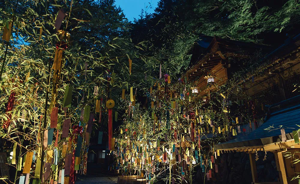 貴船神社：神秘的な七夕の夜を照らす笹飾りのライトアップ（2023年7月1日～8月15日）