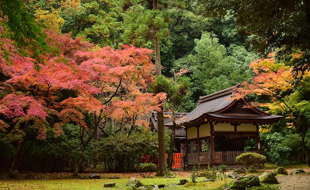 上賀茂神社：昭和を代表する作庭家・中根金作によって昭和35（1960）年に作庭された曲水庭園「渉渓園（しょうけいえん）」
