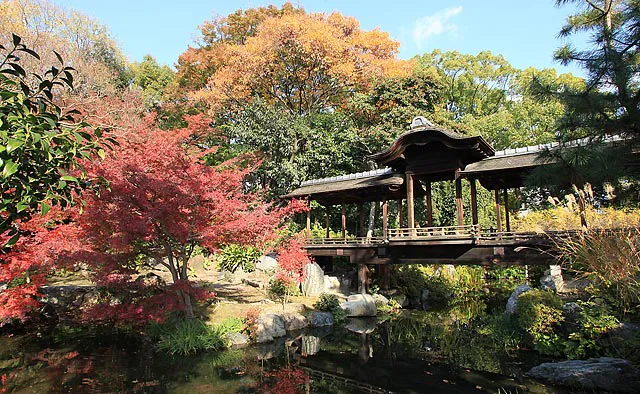 渉成園：丹楓渓と北大島を繋ぐ木橋「回棹廊（かいとうろう）」は、池に写る紅葉と橋が美しくフォトスポットとしてもオススメ。儒学者・頼山陽が「渉成園記」に記した渉成園十三景の一つに数えられる景色です