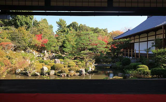 等持院：書院では等持院限定菓子の｢芙蓉の月｣とお抹茶をいただきながら、ゆったりと「西庭」を眺めることができます。中心となる芙蓉池は蓮の花を模したもの。初秋には芙蓉が花を咲かせます