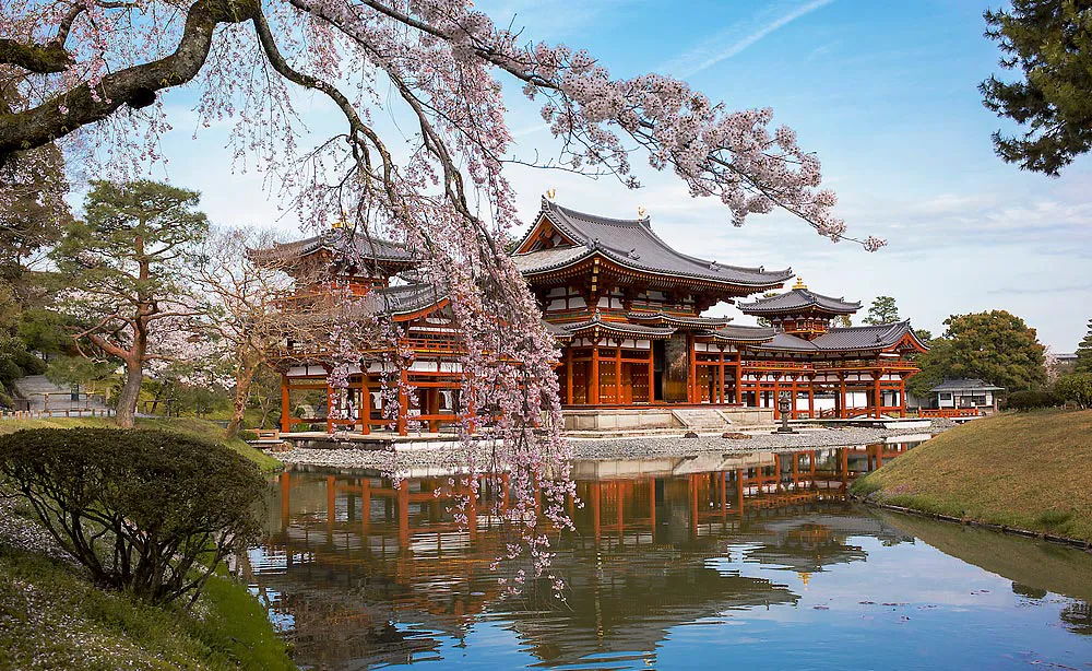 平等院：春には阿字池に浮かぶ「鳳凰堂」を取り囲むように桜が咲く風光明媚な光景が楽しめます