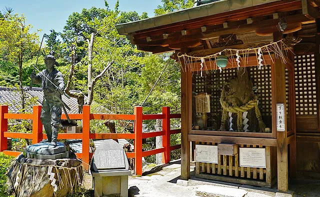 八大神社：かの宮本武蔵が決闘前に参拝。飛び地境内の「一乗寺下り松（現在5代目）」で吉岡一門と決闘し勝利したことから、必勝開運のご利益があると多くのスポーツ選手などが訪れるそう。本殿横には決闘当時の「下り松」の古木が祀られています