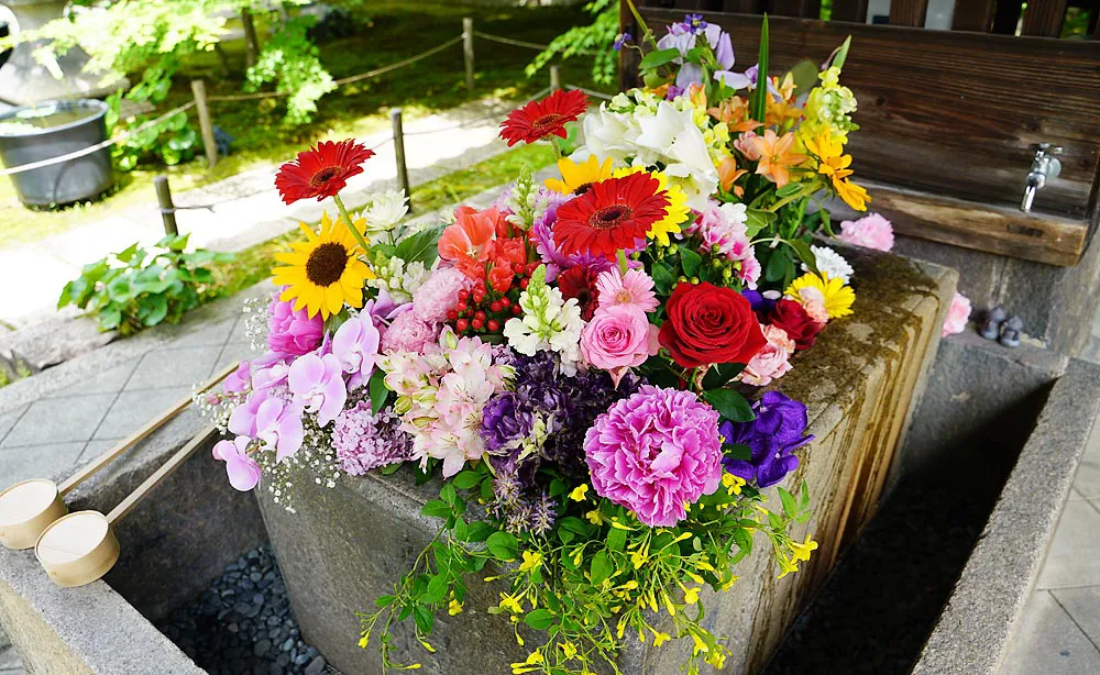 勝林寺：ひときわ目を引く豪華な花手水は毎朝活けなおされるので、いつも新鮮な様相が楽しめます