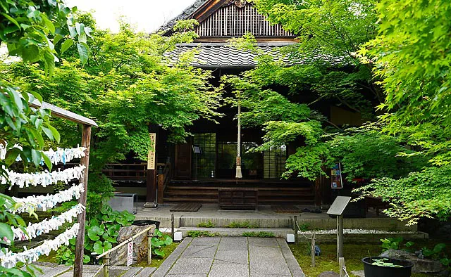 勝林寺：本堂前にはその美しさから吉祥天が宿るという「吉祥紅葉」が植えられ、紅葉の名所となっています。初夏には、輝く青紅葉とそよぐ薫風が静かに包み込んでくれます