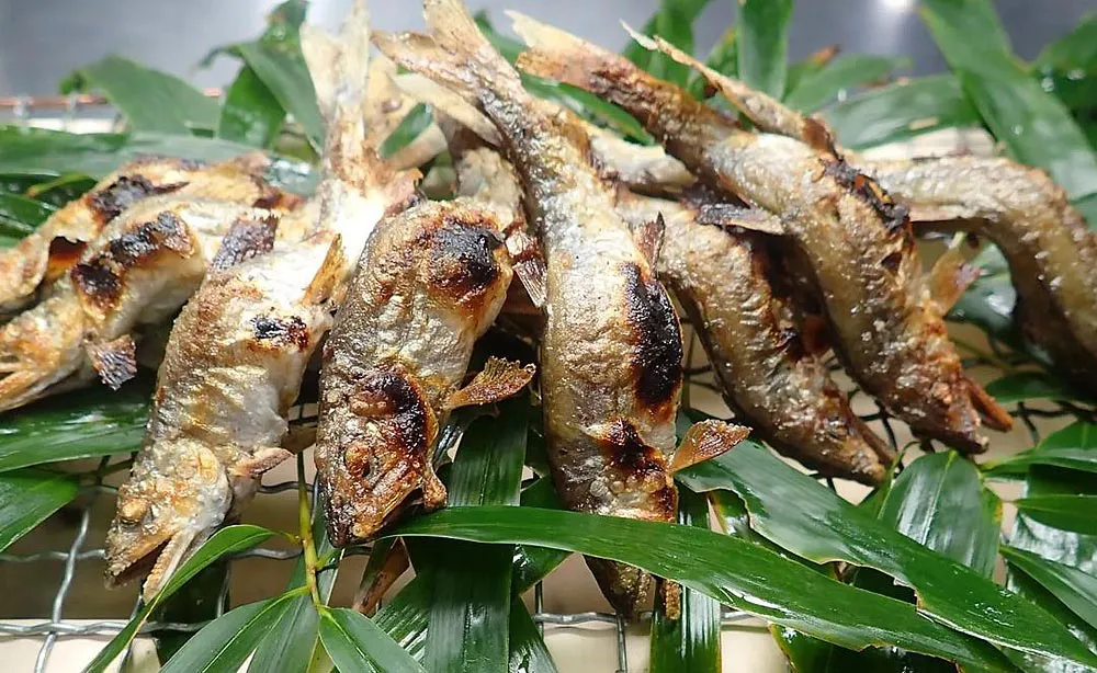 鮎の宿 つたや：懐石では夏の天然鮎をはじめその時々の上質な食材が使われます