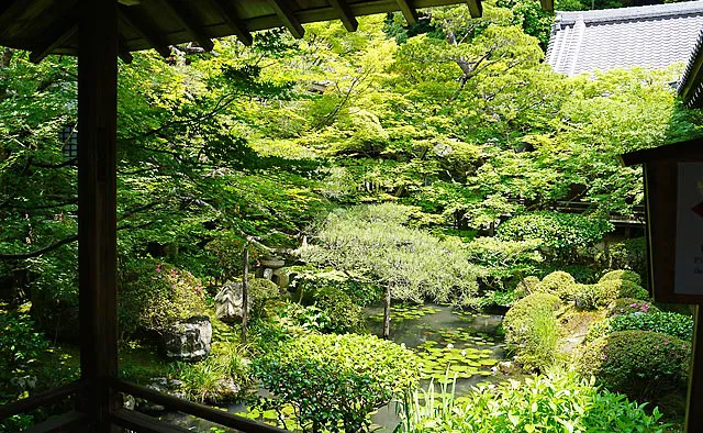 永観堂 禅林寺：大玄関から入ると、釈迦堂や御影堂、開山堂などの諸堂が回廊で結ばれているので、靴を脱いだまま拝観路を進むことができます。回廊の屋根と手すりが額縁のようにお庭を際立たせています