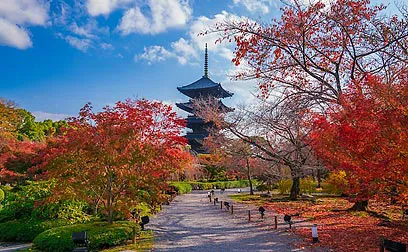 京都駅から歩いてめぐる紅葉狩り