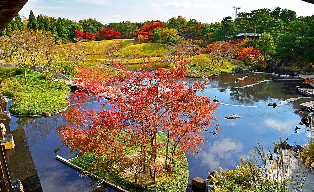 梅小路公園 朱雀の庭：庭園中央につくられた池全体が美しく反射する「水鏡」に紅葉した木々が映り込む風情ある秋景色