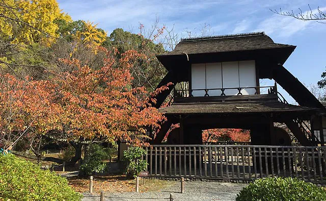 渉成園：園林院（持仏堂）の山門にあたる位置に建てられている「傍花閣」は、明治25（1892）年に再建された茶室です。境内の中心地にあり、秋には紅葉が色付き、春には桜がその傍らで咲き誇ります