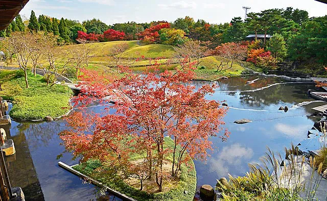 梅小路公園 朱雀の庭：滝を起点にした水の流れは、池の周辺につくられた築山に引かれた野筋へと流れこんでいきます。池のほとりには、紅葉以外にも季節の草花が四季の彩りを添えます