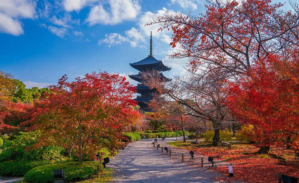 東寺：五重塔（国宝）の北側には瓢箪池を中心とした池泉回遊式庭園が広がる