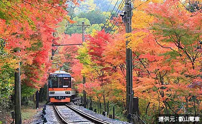 乗り物から満喫する京都の紅葉