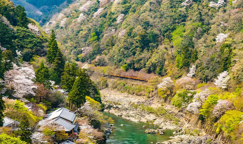 春（3月～5月）の京都の魅力を存分に味わうスポットを紹介