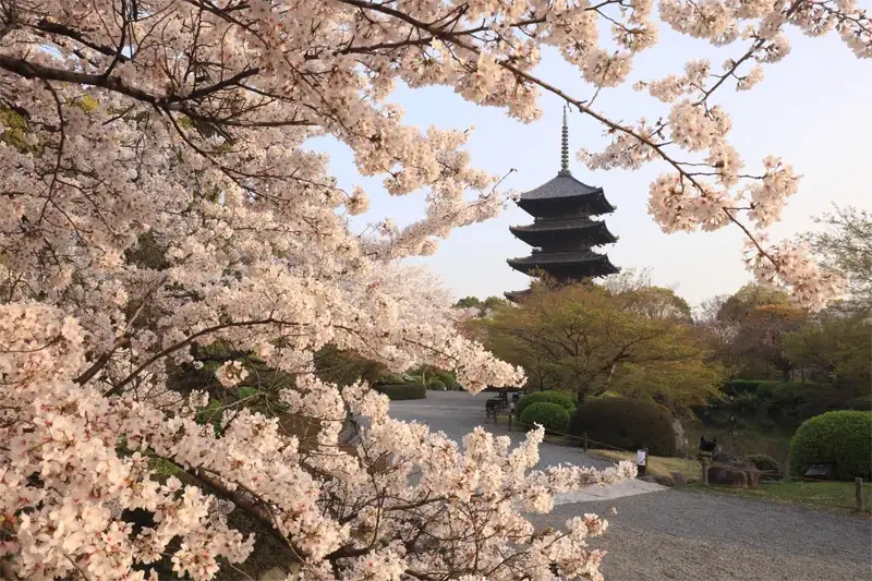 東寺