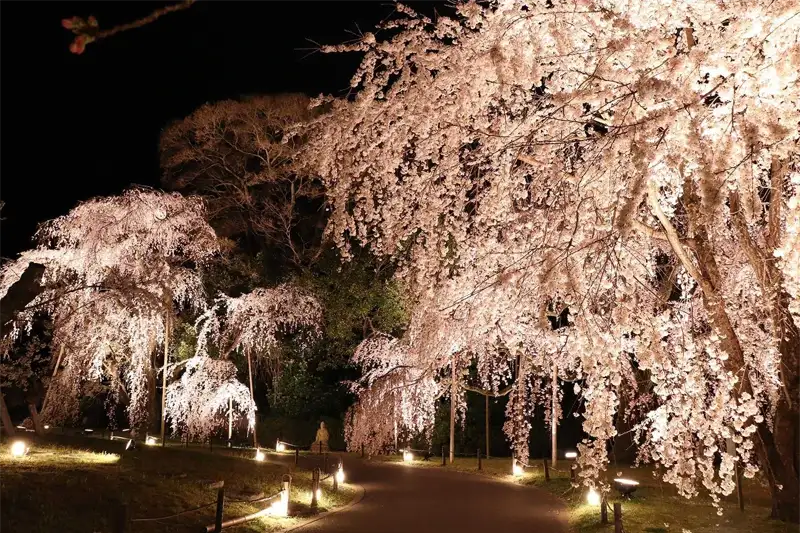 醍醐寺