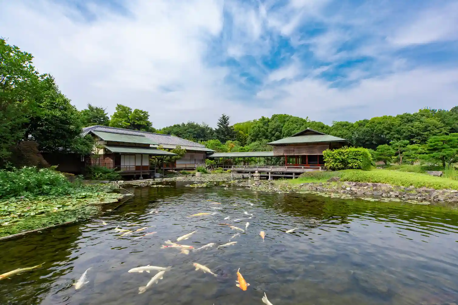 白鳥庭園