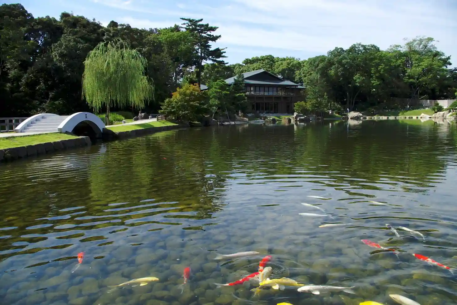 徳川園 龍仙湖