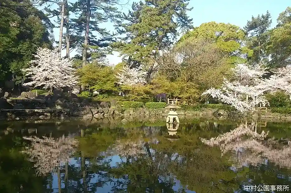 中村公園 ひょうたん池