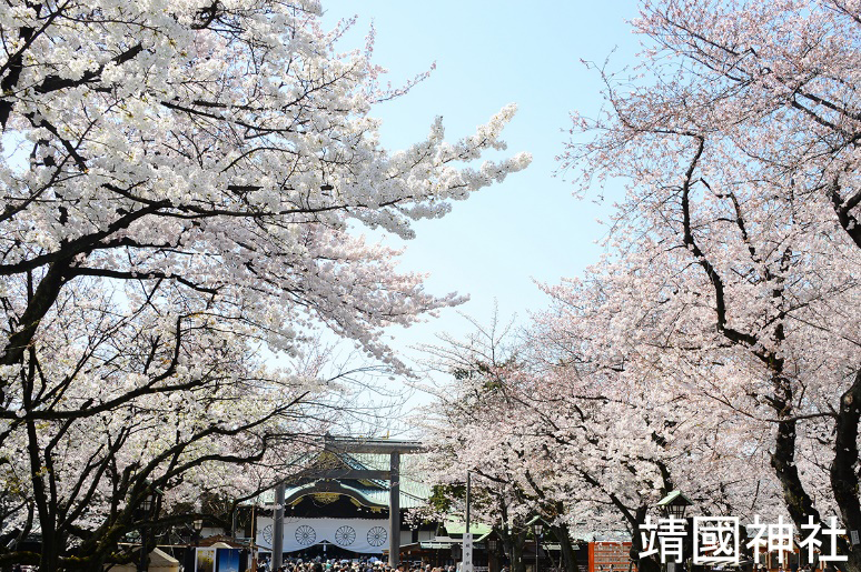 春の参道