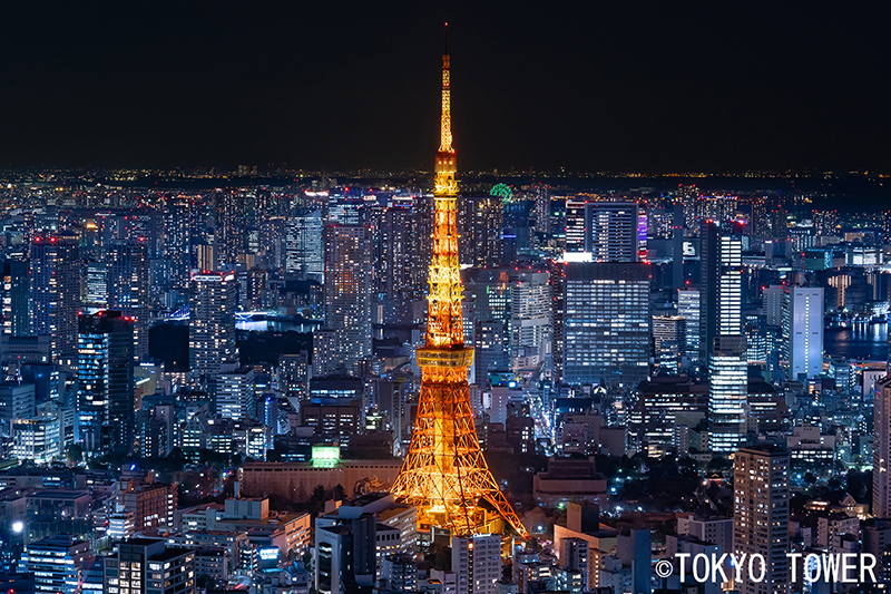 夜の東京タワー