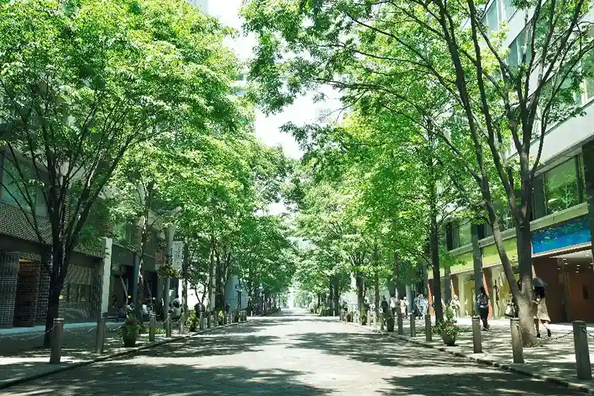 丸の内仲通り