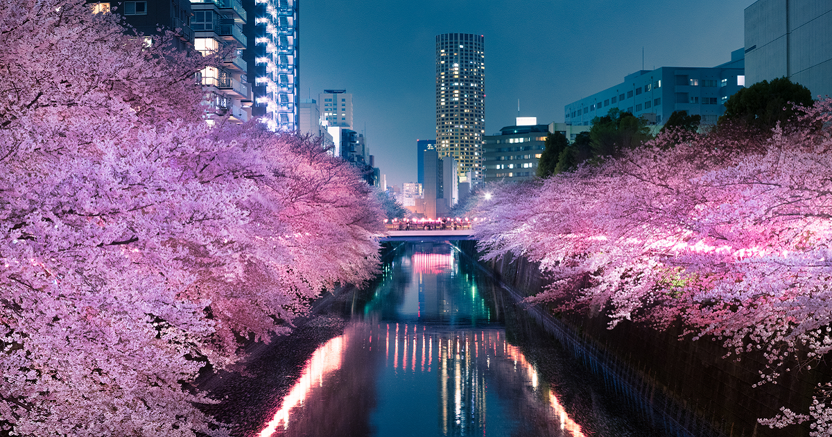 春（3月～5月）の東京を楽しむ観光スポットはこちら｜JR東海ツアーズ 新幹線旅行の予約（EX旅パック）