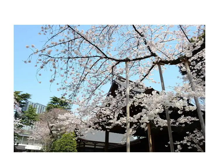 靖國神社 イメージ