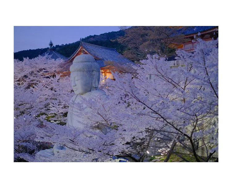 壺阪寺 イメージ