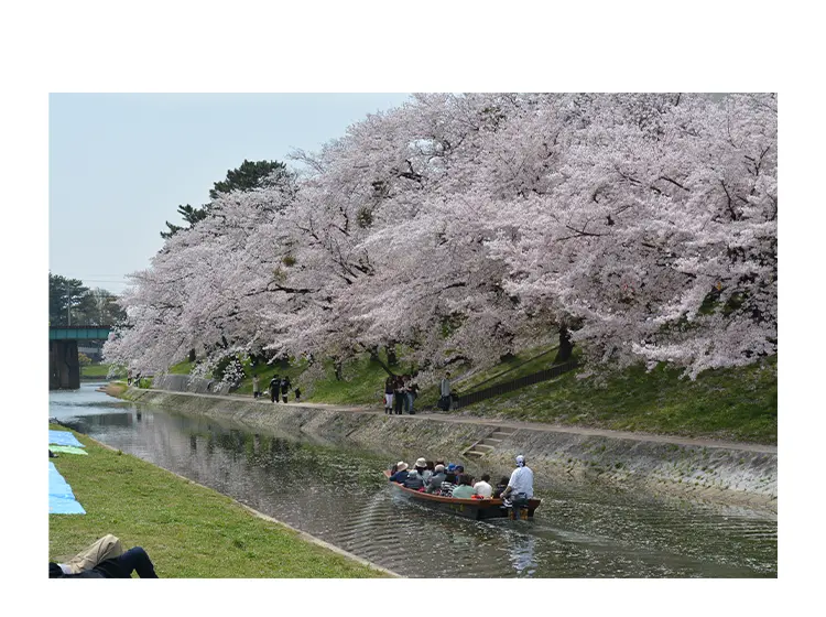 岡崎城下舟あそび 提供：岡崎市