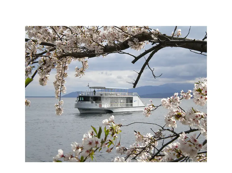 海津大崎桜クルーズ イメージ