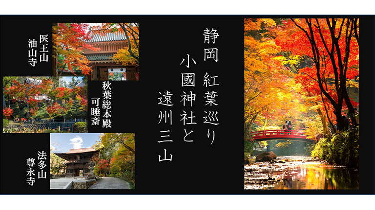 錦色に染まる！静岡紅葉バスツアー ～小國神社・遠州三山と法多山尊永寺ライトアップ～