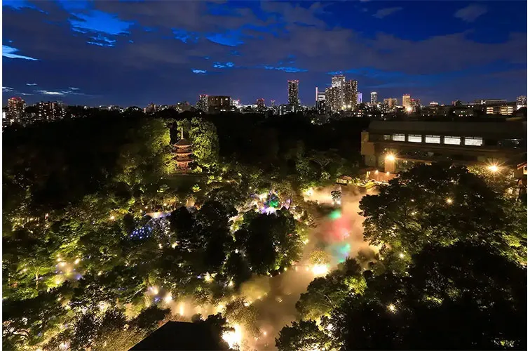 夜の東京雲海（演出）イメージ