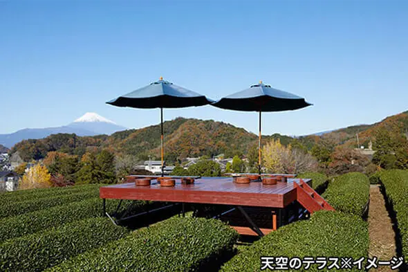 【富士山ビュー】茶畑に浮かぶ「天空のテラス」で味わうクラフトビールor静岡茶