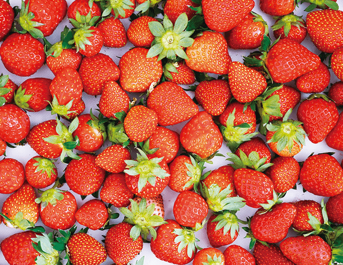 アスカルビー イメージ