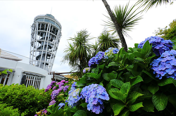 江の島シーキャンドル