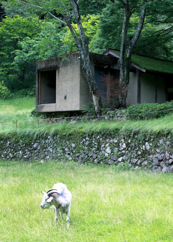 美杉の山のビオトープレストラン、日本料理「朔 saku」を訪ねる。