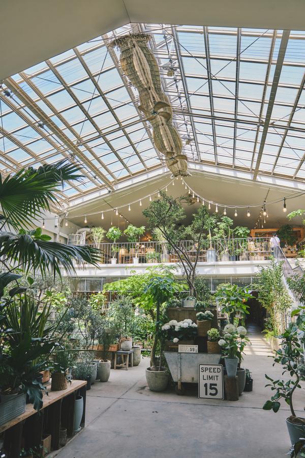 インテリアのアイデアが満載。植物専門店〈garage TOYOHASHI〉のDIY体験で感性をアップデート。