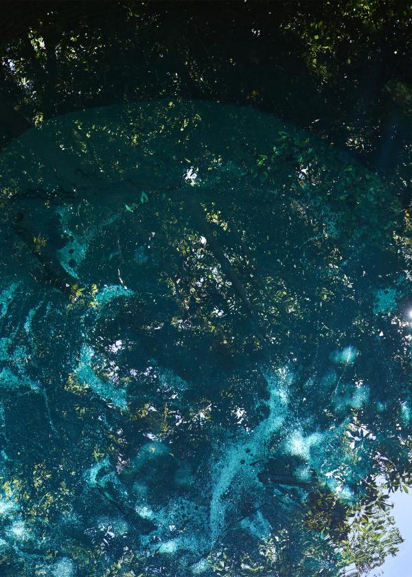 三島の水をめぐる旅。