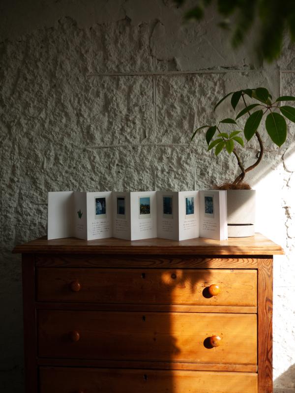 御朱印帳で旅ノート【インスタントカメラ編】