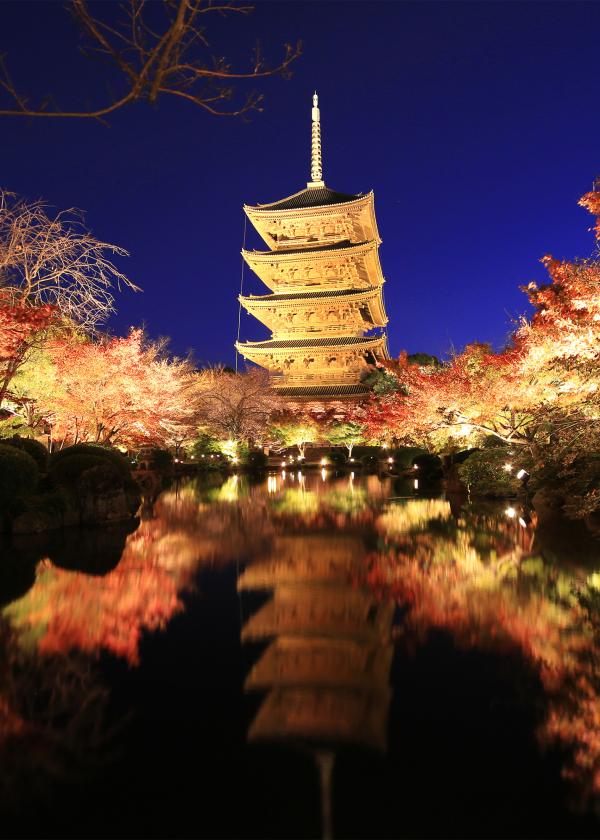 紅葉ライトアップの美しい京都で、特別な夜を満喫。