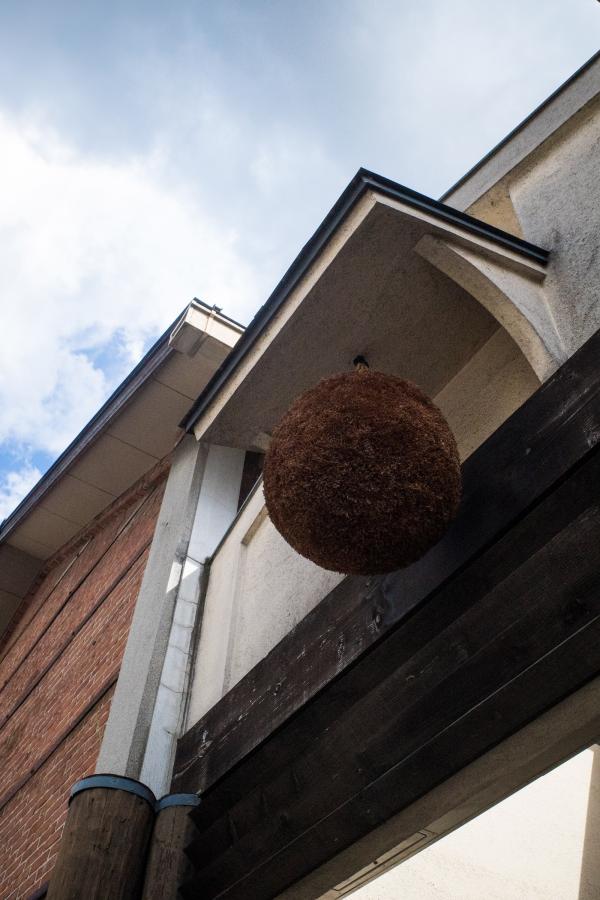 伏見の小さな酒蔵で（京都市）