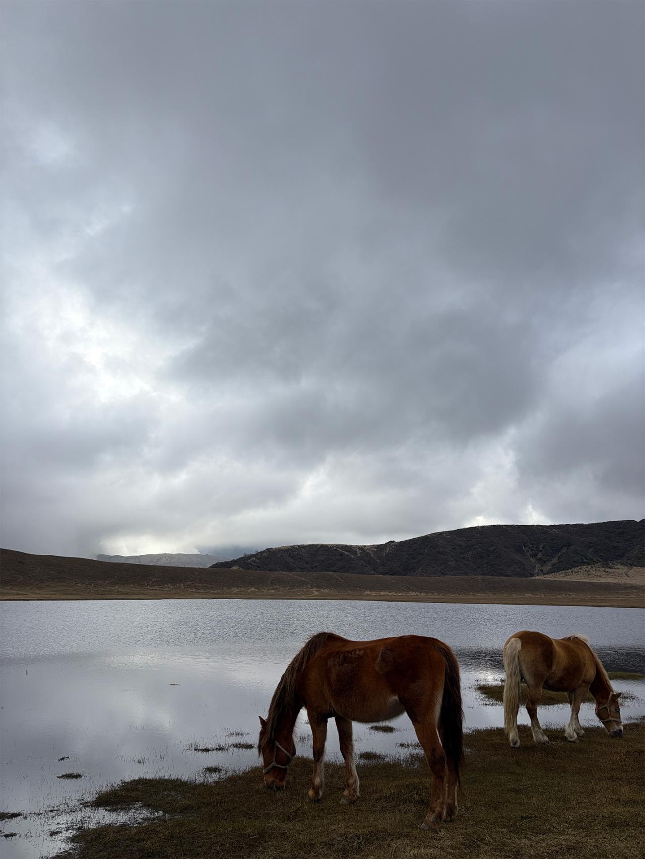 先月初めて熊本の「草千里ヶ浜」に行きました。あまりにも幻想的な風景を目の当たりにした時に撮った一枚です。（写真提供：アサノアミ）