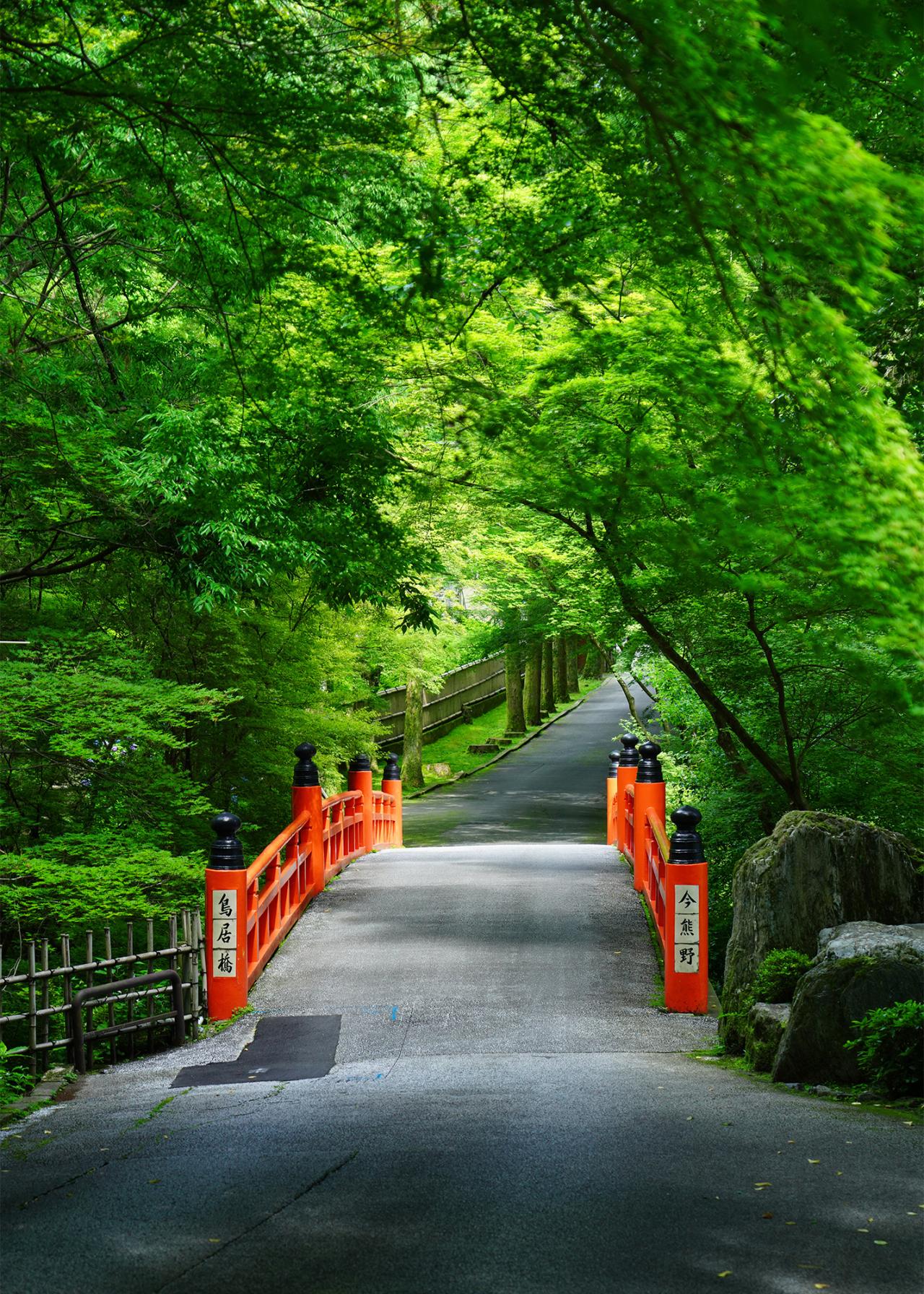 青もみじが美しい鳥居橋