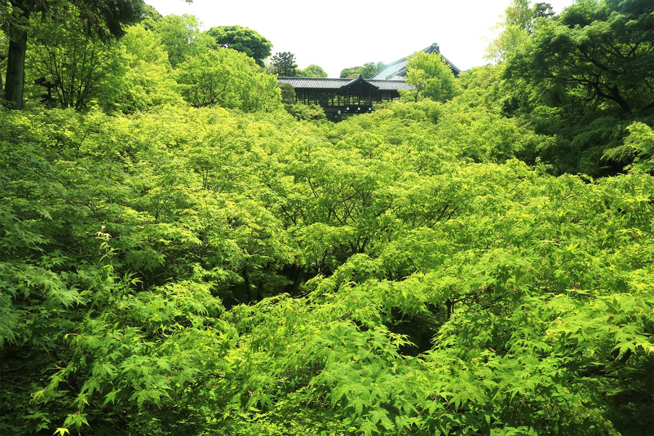 臥雲橋から望む通天橋