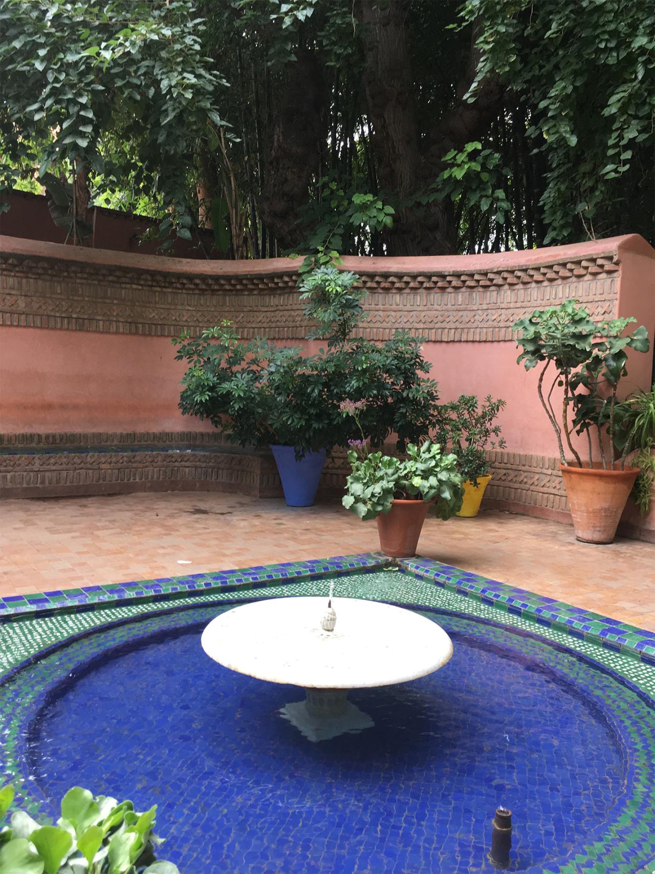 2018年のモロッコの旅で訪れたマジョレル庭園。エネルギッシュなジャマ・エル・フナ広場の喧騒から離れ、ふっと心が落ち着くオアシスのような場所でした。（写真提供：山野内裕紀子）