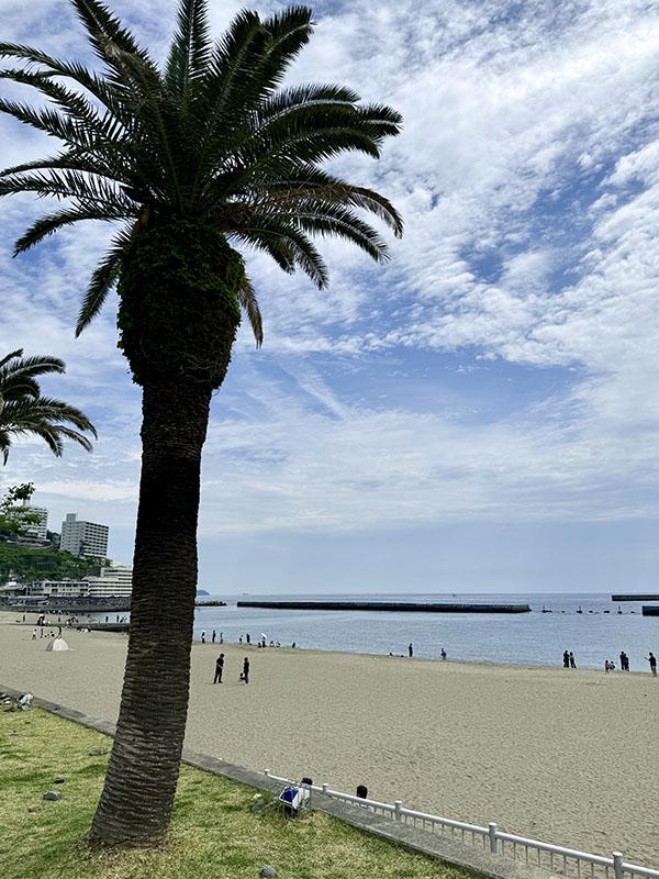 海と山に囲まれた人気観光地「熱海」へ～日帰り満喫モデルコース～