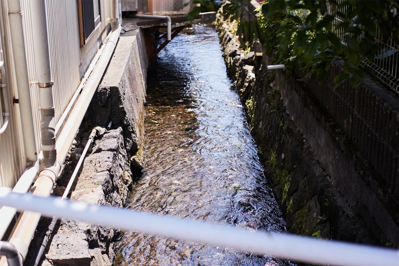 三島の街を流れる御殿川。