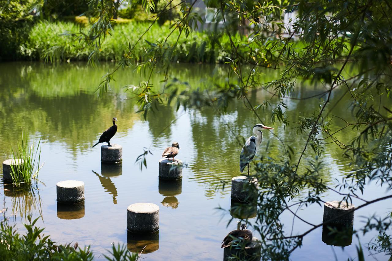 生き物を間近で観察できる貴重な公園。