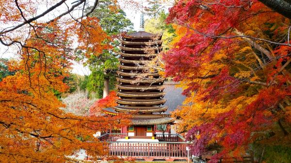 談山神社｜奈良県・桜井市